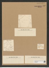 Diatomeae indet. Zeichnungen Sammlung Grunow Nr. 7598 (NHMW-BOT-W0376762)